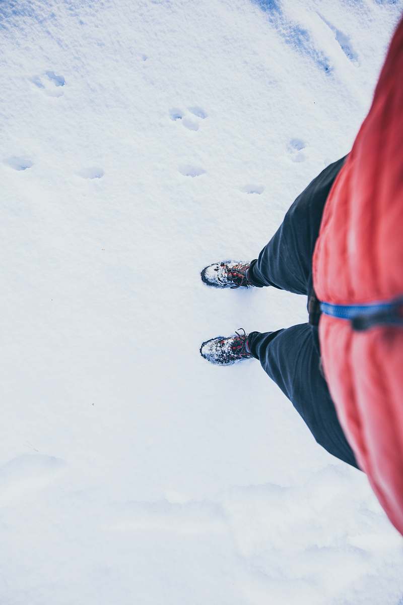 dalby forest person standing on snow during daytime portrait